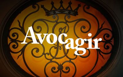 Avocagir